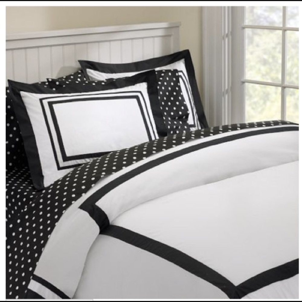 Pottery Barn Euro Sham and Duvet